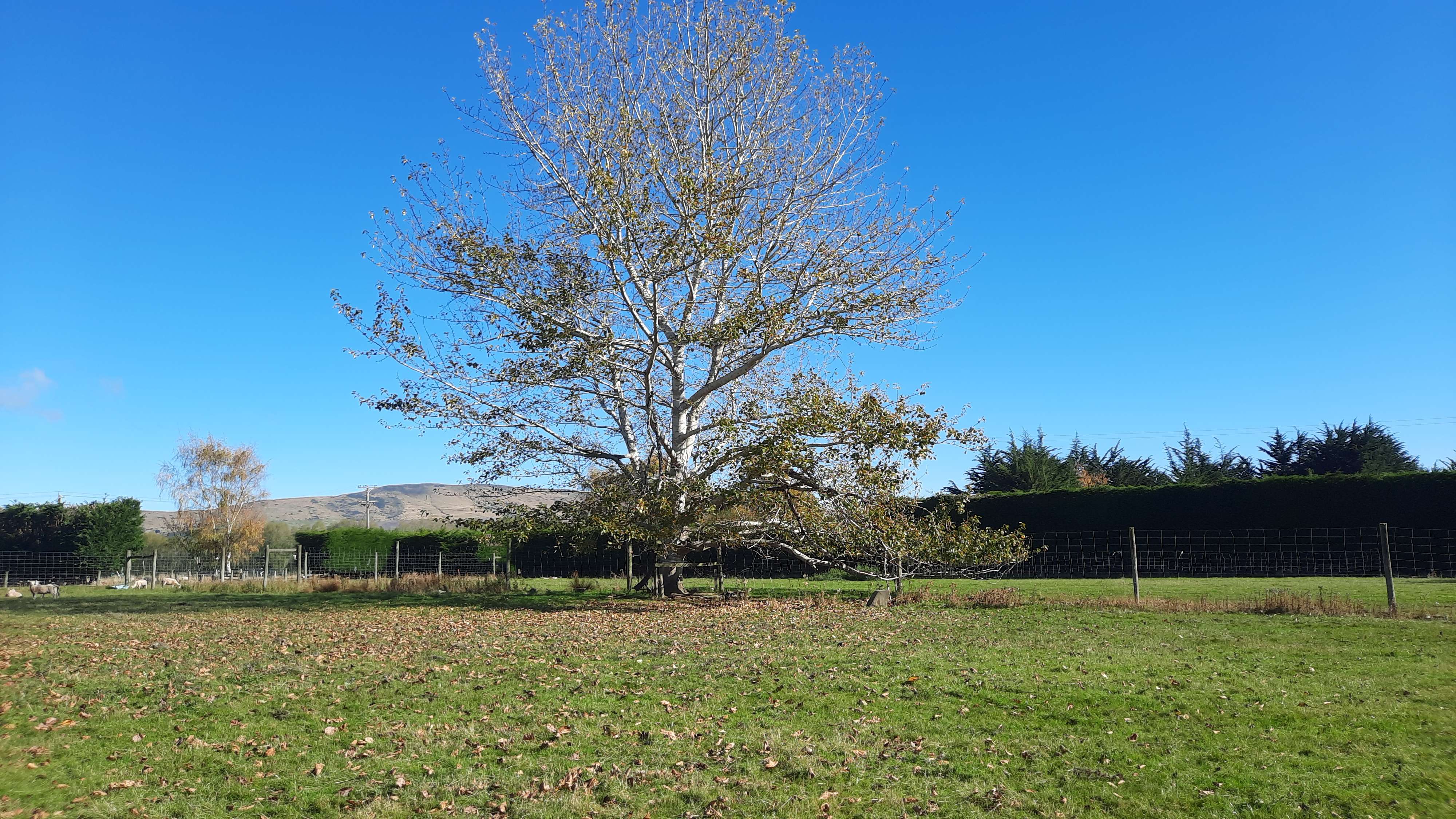 682 Old Port Road, Warepa Clutha Houses for Sale One Roof