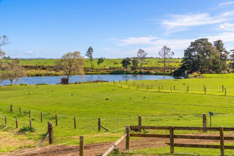 37E William Potter Lane Karaka_30