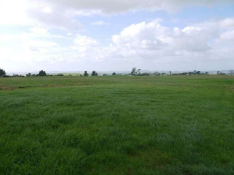 64 Otara Point Road Te Kopuru_13