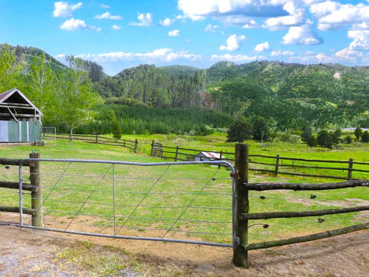 2218 Tangowahine Valley Road Dargaville Surrounds_13