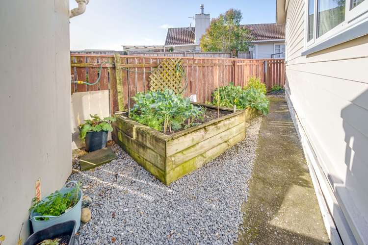 1/14 Palm Avenue Stoke_13