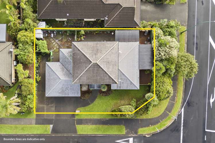 1 Highfields Terrace Henderson_16