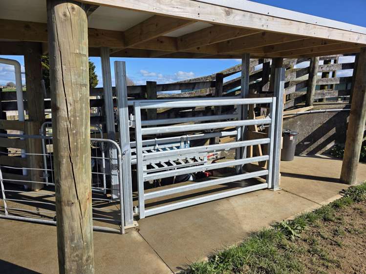 2/4798 Ohaupo Road Te Awamutu_23
