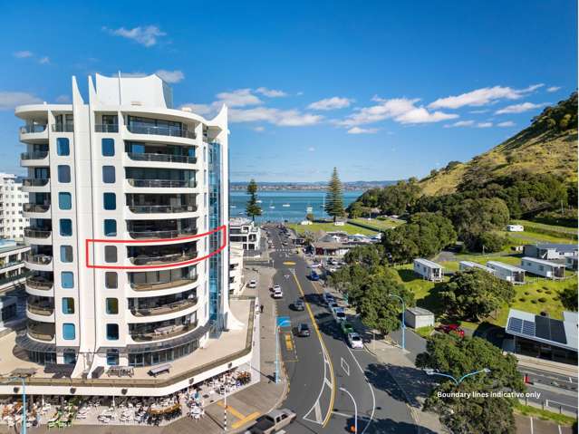 5A/1 Marine Parade Mt Maunganui_2