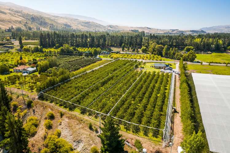 78 Pearson Road Cromwell_19