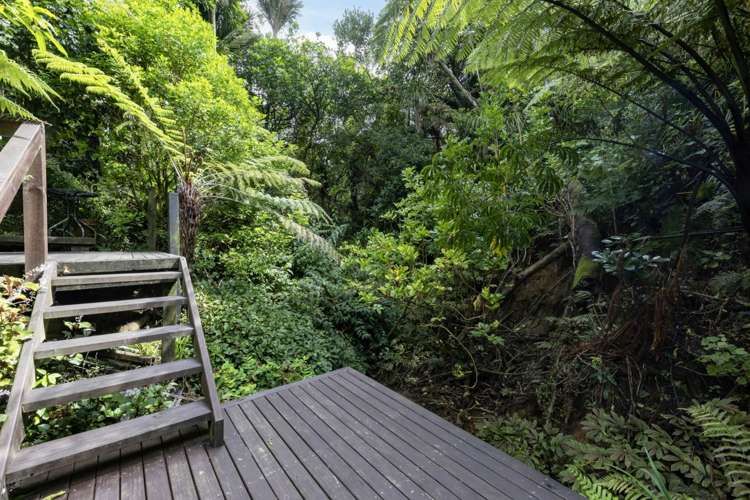 19 Taraire Road Titirangi_19