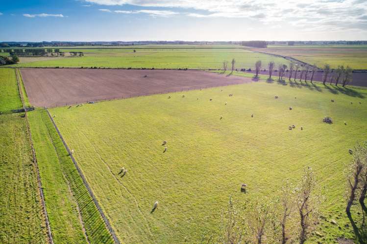 1043 Lockwood Road Kairanga_5