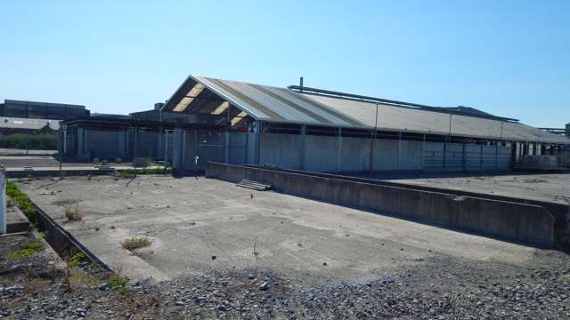 35 Enterprise Avenue Islington_4