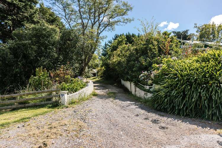 539 Mangatuna Road Weber_23