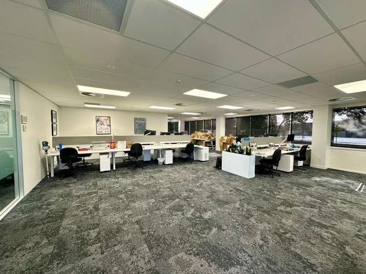 95 Manukau Road Epsom_5