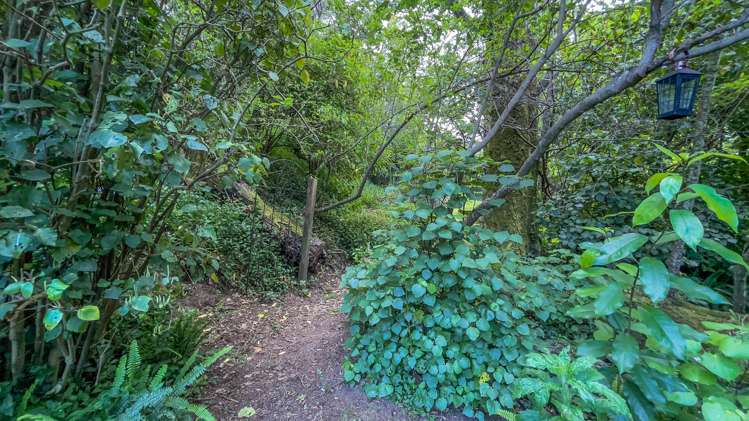 16 Te Ana Lane Thames_21