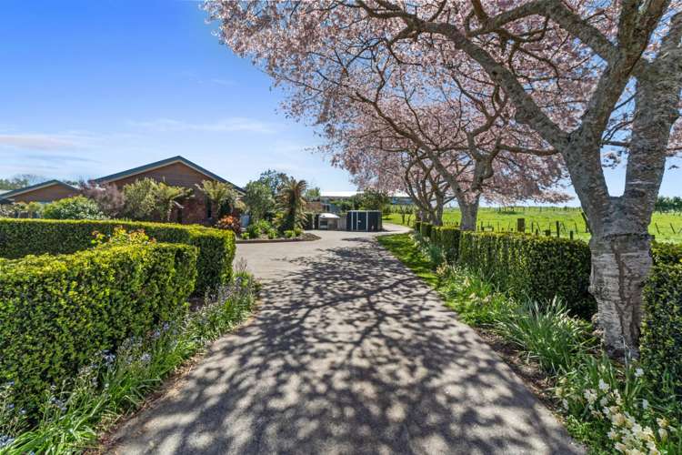 26 Appleton Lane Eureka_24