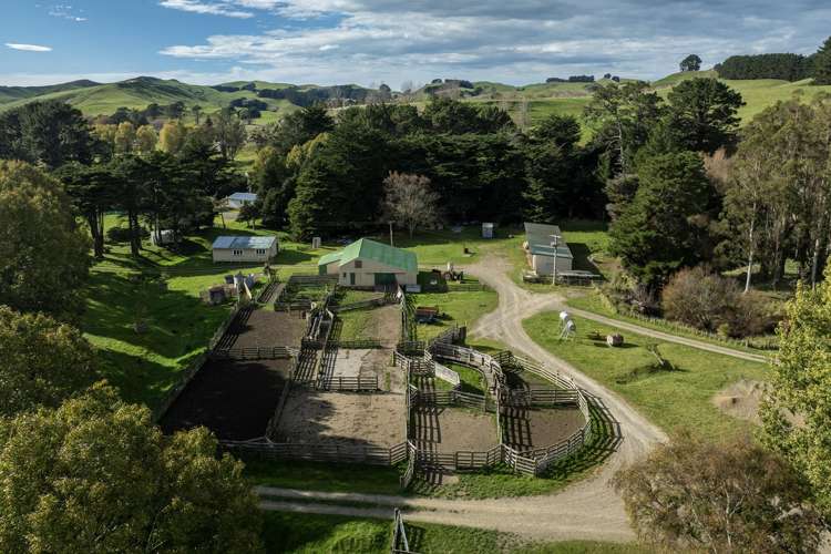 467 Waitahora Valley Road Dannevirke_32
