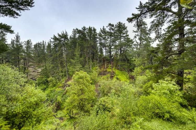 2023 Puketitiri Road Central Hawkes Bay Coastal_18