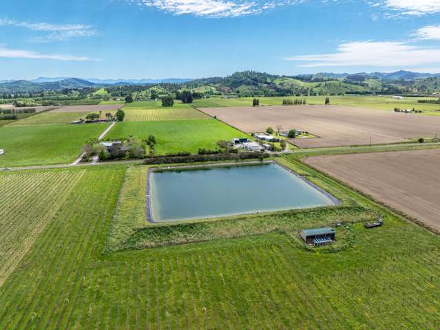 Whitmore Road Ormond_2