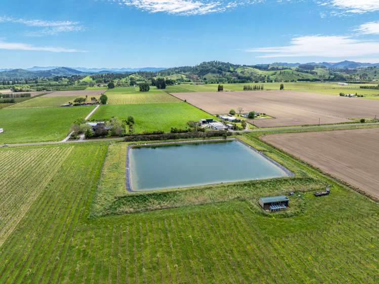 Whitmore Road Ormond_2