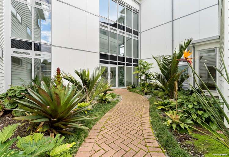 D1/30 Bute Road Browns Bay_14