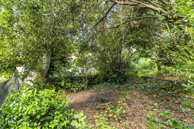 47 Peter Street Caversham_17