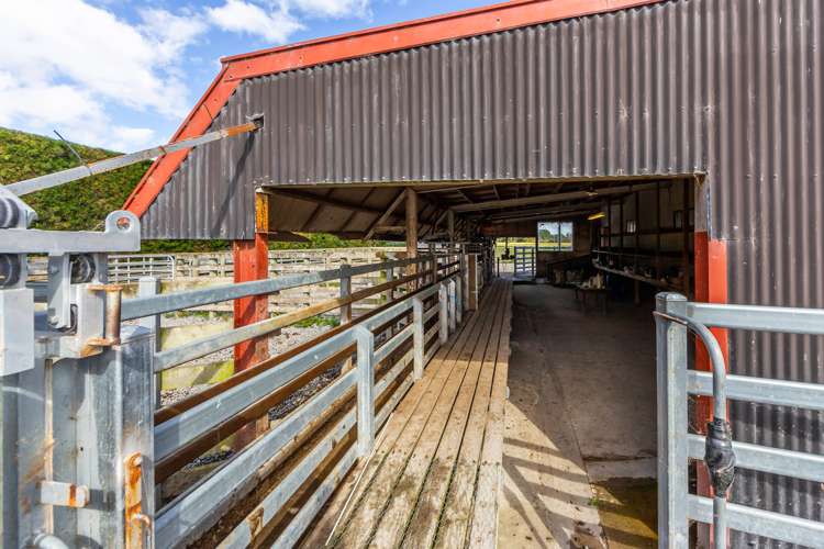 589 Coutts Island Road Coutts Island_18