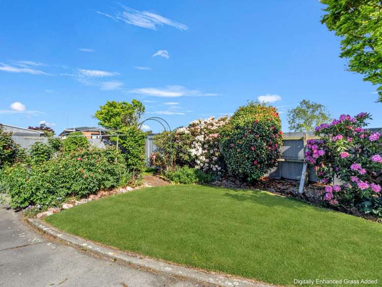 128 Grove Street Tinwald_27