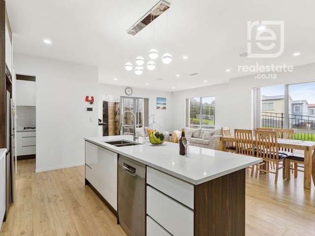1 Elevation Street Flat Bush_4