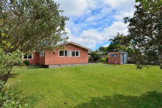 44 Jutland Road Hauraki_4