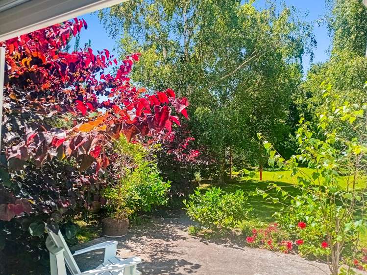 86 Grey street Woodville_17