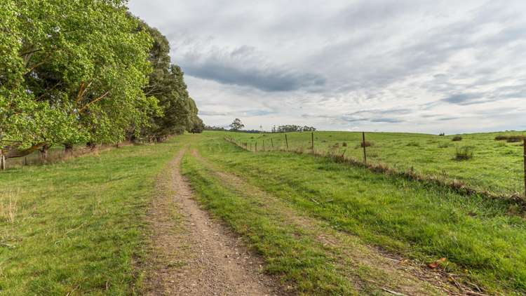 1241 Blythe Road Domett_7