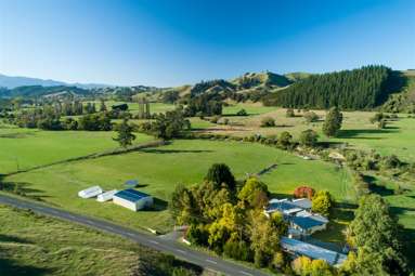 924 Dovedale Road_4