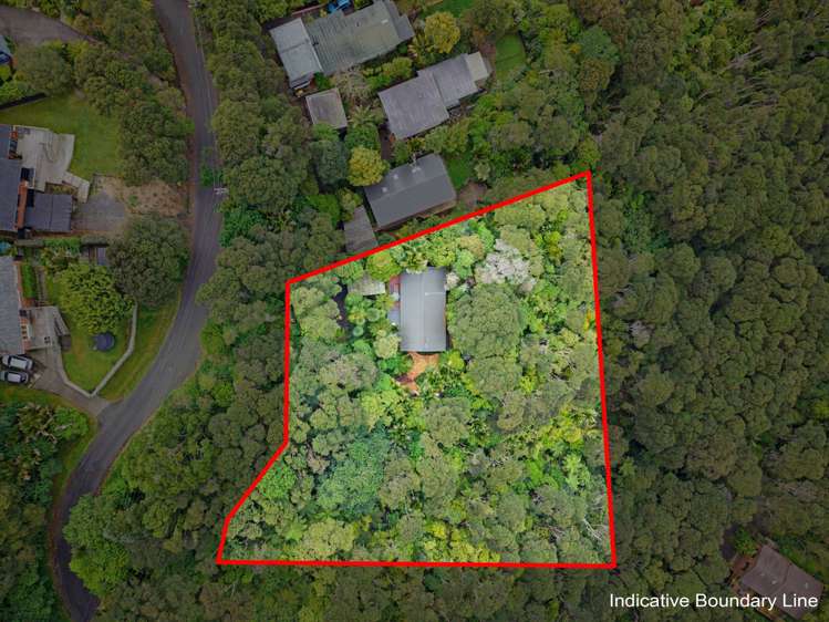 45 Tainui Road Titirangi_33