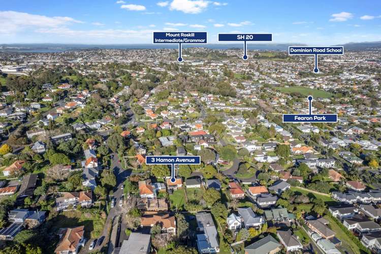 3 Hamon Avenue Mount Roskill_24