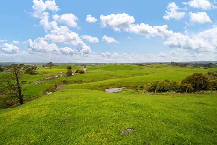 137 Lincoln Road Masterton_5