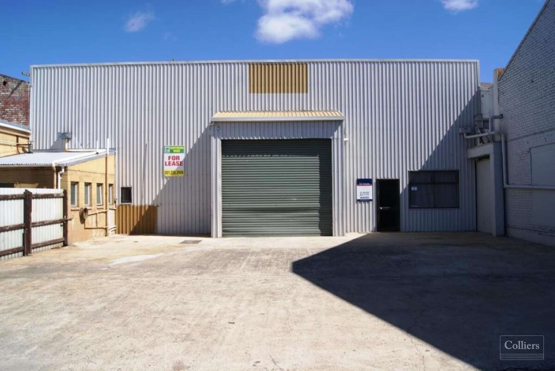 117 Fryatt Street Dunedin Central_0