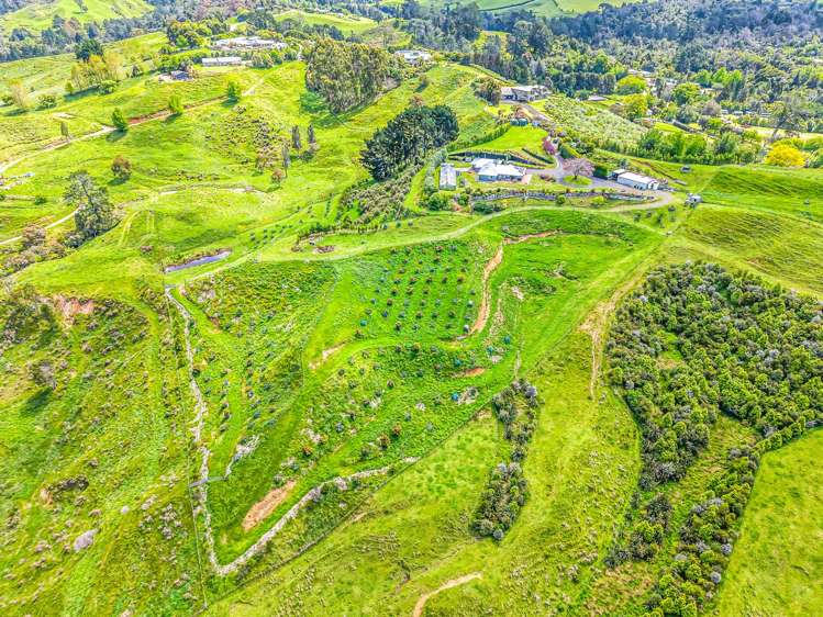 265 Hot Springs Road Katikati_20