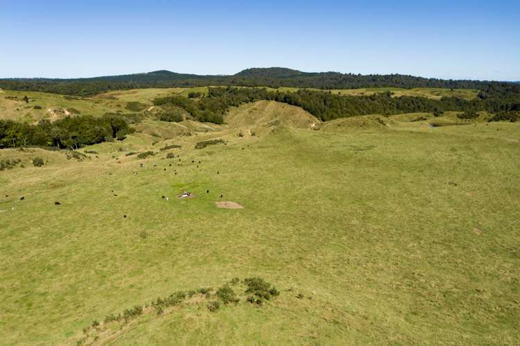 2140 Pyes Pa Road Kaimai_11