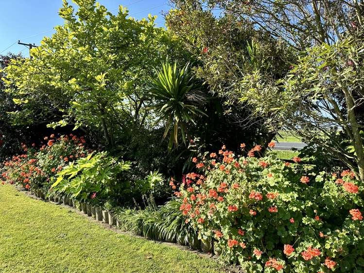 641 Thornton Road Thornton_21