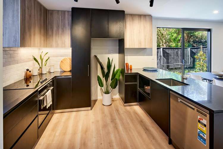 17 Ara Toutouwai Karori_5