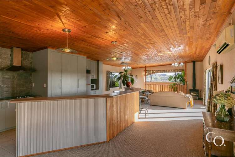 67A Ireland Road_2
