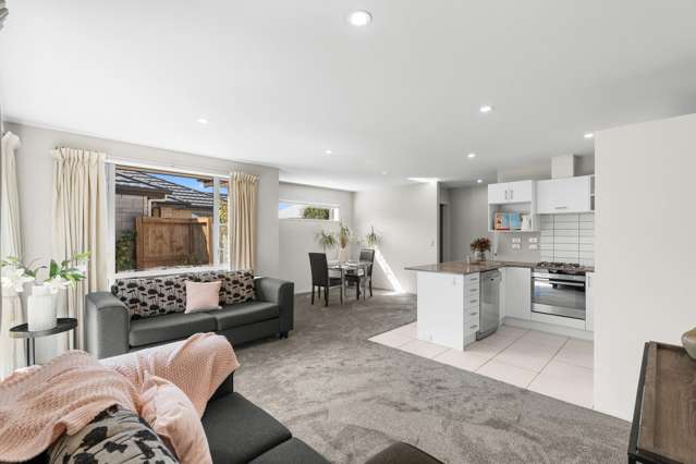 273C Wairakei Road Bryndwr_3