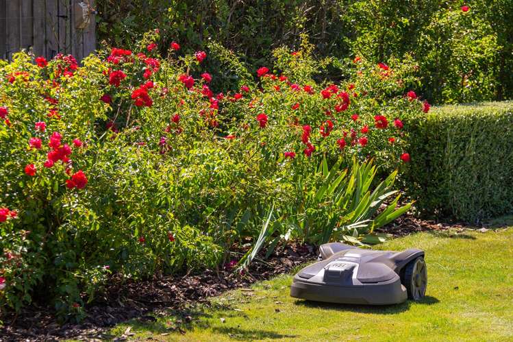 7 Francis Lane Masterton_15