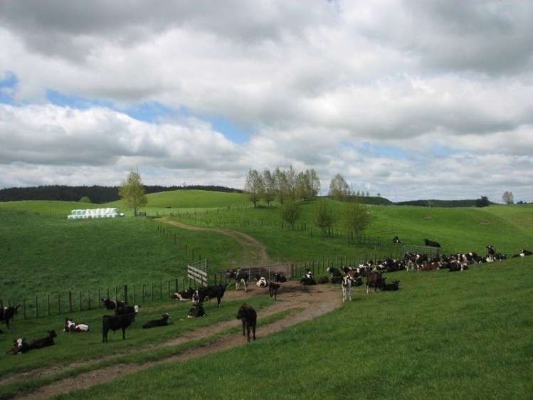 53 Worth Road Putaruru_6