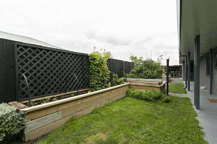 21 Thomson Street Tinwald_22