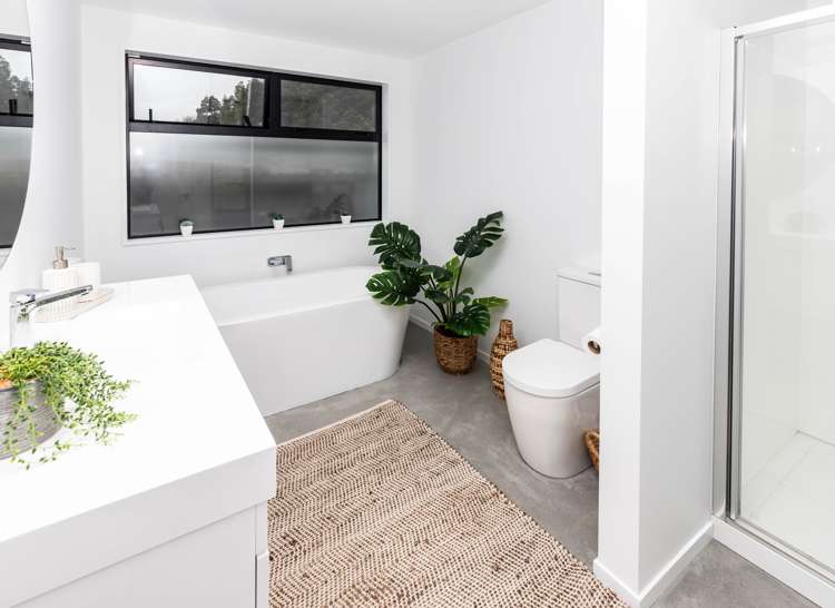 23 Pandora Avenue Camerons_13