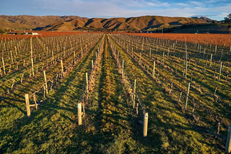 36 Wrekin Road Fairhall_9