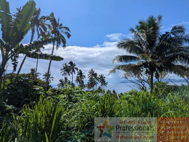 Address withheld Taveuni_4