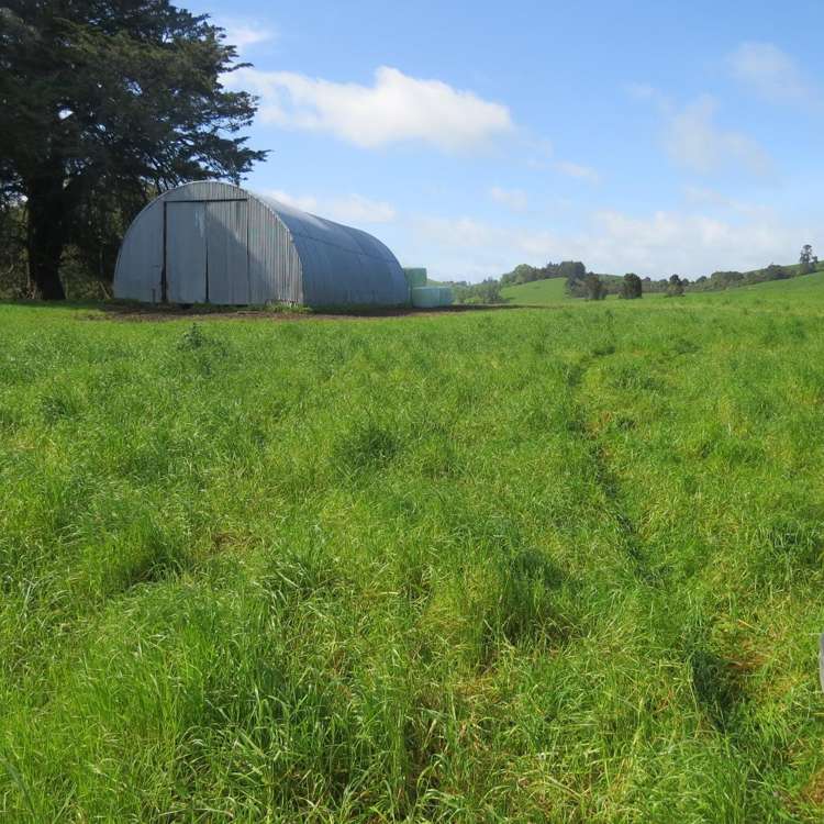 48 Barber Road Otewa_24