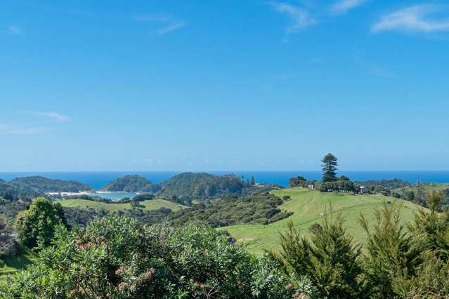 70 Walu Lane Matapouri_1