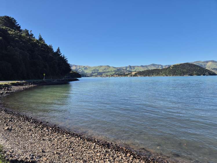 282 Wainui Main Road French Farm_19