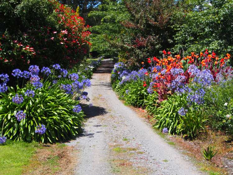 337 Elsthorpe Road Otane_19