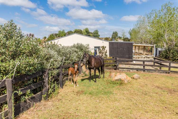 128 Montrose Road Kerikeri_22